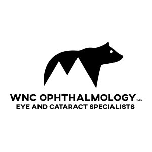 WNC eyes 300x300